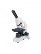 BA50 biological microscope
